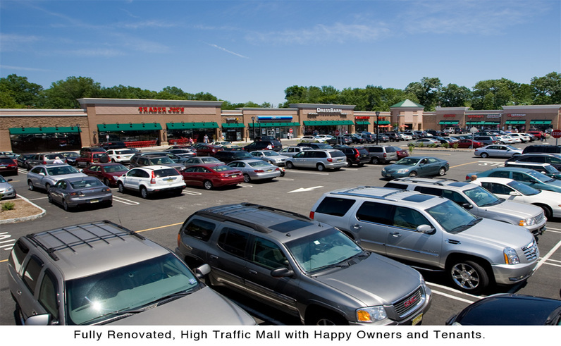 Css Template Preview